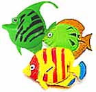 熱帯魚