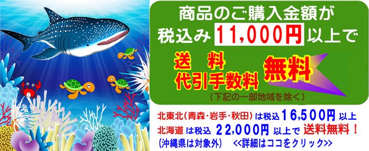 ��������ƌi�i�ߋ�̖≮�}���q���@�čՂ�≏���̌i�i�A�c�t����ۈ牀�A�q����̉ẴC�x���g�ɂ҂�����̂������Ⴊ�����낢�I������񂨎q�l�����`�̂��܂��ɂ��I